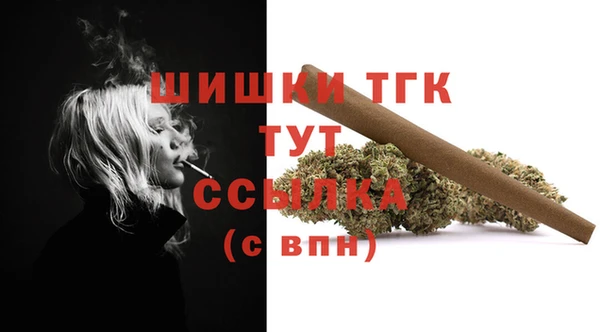 ГАЛЛЮЦИНОГЕННЫЕ ГРИБЫ Верхний Тагил