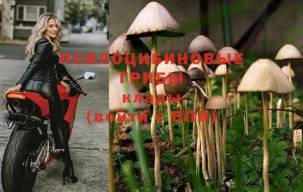 наркотики Верея